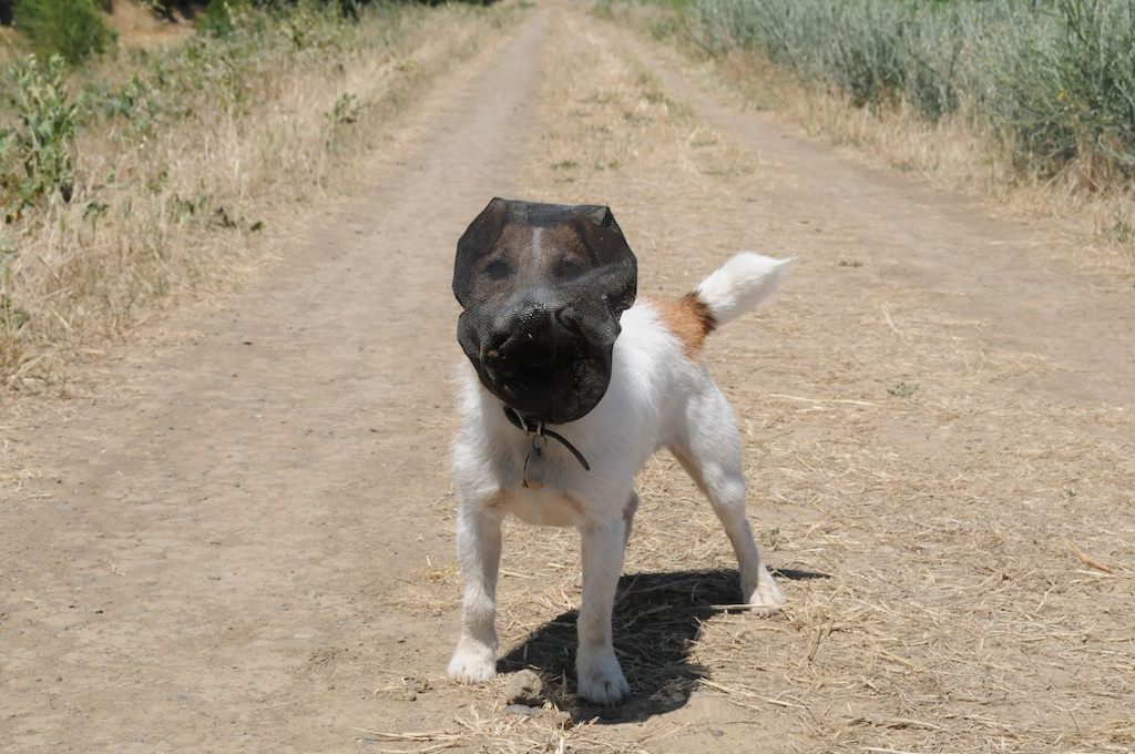 Thanks Oklahoma! Mike Rowe