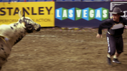 Somebody's Gotta Do It: Bullfighting