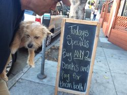 Sidewalk Commercialism