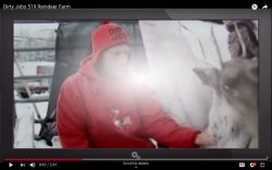 Off The Wall - Listening in Palmer, AK