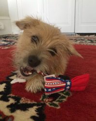 Fridays with Freddie: Gifts!