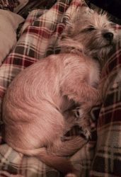 Fridays with Freddy: I'm Tired