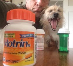 Fridays With Freddy: "Pain Relievers?"
