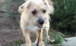 Fridays with Freddy: The Walk