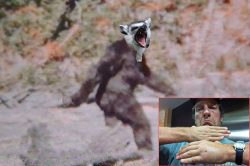 Bigfoot Bites
