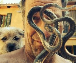 Fridays With Freddie: The Rattlesnake