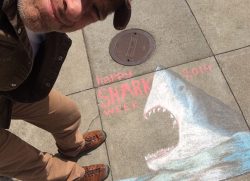Letting Sleeping Sharks Lie...
