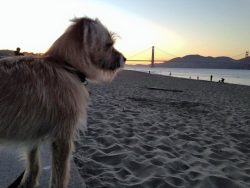 Fridays With Freddy: Sea Fever